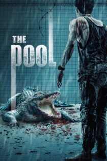 دانلود فیلم The Pool 2018 بدون سانسور با پخش آنلاین