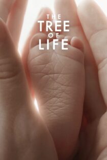 دانلود فیلم The Tree of Life 2011 بدون سانسور با پخش آنلاین دانلود فیلم The Tree of Life 2011 بدون سانسور با پخش آنلاین