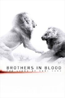 دانلود فیلم Brothers in Blood: The Lions of Sabi Sand 2015 بدون سانسور با پخش آنلاین دانلود فیلم Brothers in Blood: The Lions of Sabi Sand 2015 بدون سانسور با پخش آنلاین