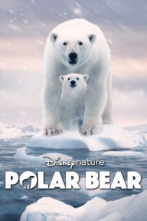 دانلود فیلم Polar Bear 2022 بدون سانسور با پخش آنلاین