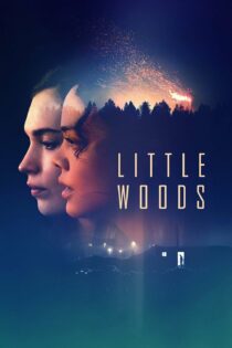 دانلود فیلم Little Woods 2018 بدون سانسور با پخش آنلاین دانلود فیلم Little Woods 2018 بدون سانسور با پخش آنلاین
