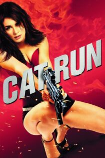 دانلود فیلم Cat Run 2011 بدون سانسور با پخش آنلاین دانلود فیلم Cat Run 2011 بدون سانسور با پخش آنلاین