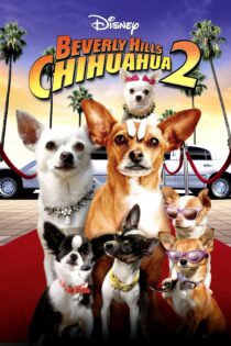 دانلود فیلم Beverly Hills Chihuahua 2 2011 بدون سانسور با پخش آنلاین دانلود فیلم Beverly Hills Chihuahua 2 2011 بدون سانسور با پخش آنلاین
