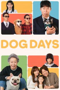 دانلود فیلم Dog Days 2024 بدون سانسور با پخش آنلاین دانلود فیلم Dog Days 2024 بدون سانسور با پخش آنلاین