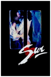 دانلود فیلم The South 1988 بدون سانسور با پخش آنلاین