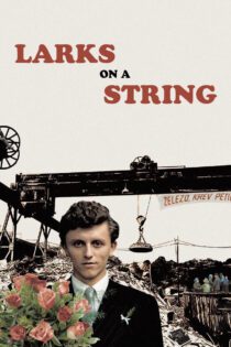دانلود فیلم Larks on a String 1969 بدون سانسور با پخش آنلاین دانلود فیلم Larks on a String 1969 بدون سانسور با پخش آنلاین