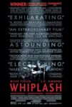 Whiplash