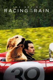 دانلود فیلم The Art of Racing in the Rain 2019 بدون سانسور با پخش آنلاین