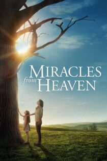 دانلود فیلم Miracles from Heaven 2016 بدون سانسور با پخش آنلاین