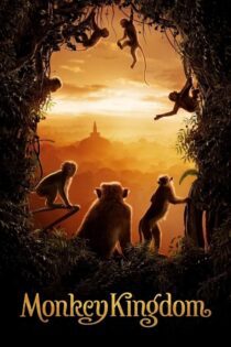 دانلود فیلم Monkey Kingdom 2015 بدون سانسور با پخش آنلاین دانلود فیلم Monkey Kingdom 2015 بدون سانسور با پخش آنلاین