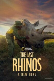 دانلود فیلم The Last Rhinos: A New Hope 2025 بدون سانسور با پخش آنلاین دانلود فیلم The Last Rhinos: A New Hope 2025 بدون سانسور با پخش آنلاین