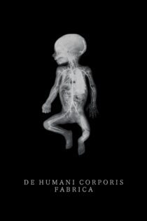 دانلود فیلم The Fabric of the Human Body 2022 بدون سانسور با پخش آنلاین دانلود فیلم The Fabric of the Human Body 2022 بدون سانسور با پخش آنلاین