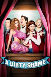 دانلود فیلم A Dirty Shame 2004 بدون سانسور با پخش آنلاین