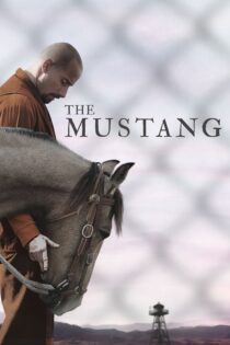 دانلود فیلم The Mustang 2019 بدون سانسور با پخش آنلاین دانلود فیلم The Mustang 2019 بدون سانسور با پخش آنلاین