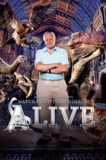 دانلود فیلم David Attenborough’s Natural History Museum Alive 2014 بدون سانسور با پخش آنلاین دانلود فیلم David Attenborough’s Natural History Museum Alive 2014 بدون سانسور با پخش آنلاین
