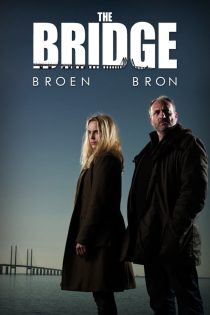 دانلود سریال The Bridge بدون سانسور